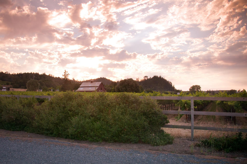 Geyserville Inn Exteriör bild